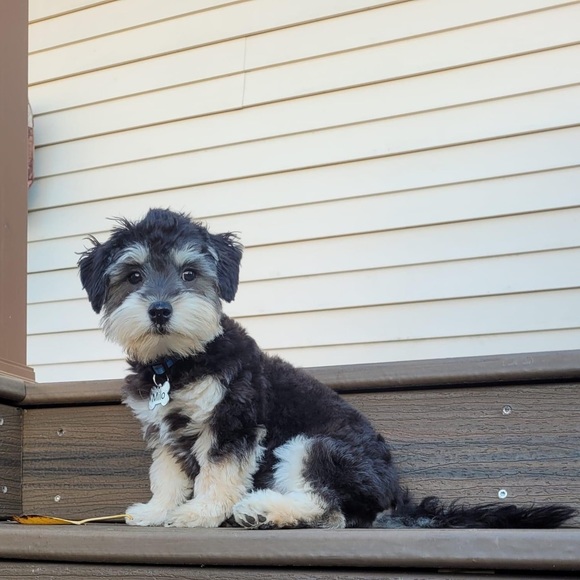 Meet your Posher, Marta - Picture 8 of 8